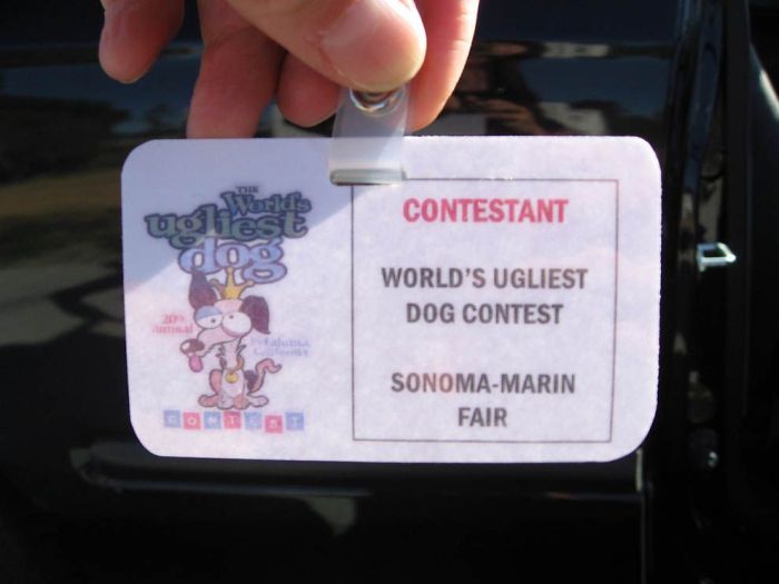 World’s Ugliest Dog 2011 (18 pics)