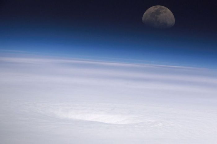 Hurricanes from Space (22 pics)