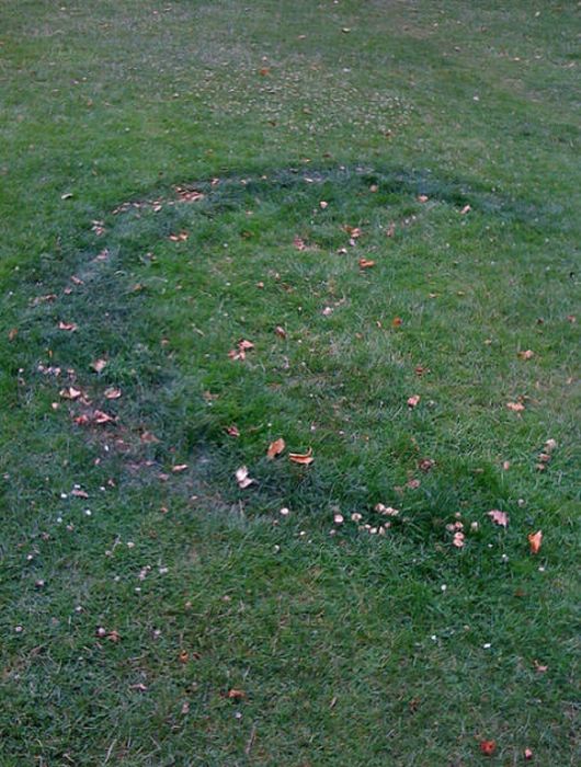 Accidental Alphabetical Letters (26 pics)