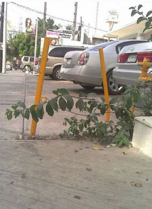 Accidental Alphabetical Letters (26 pics)
