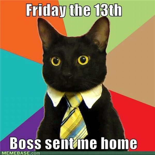 Business Cat (41 pics)