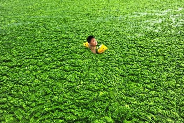 Chinese Beach Turns Green (8 pics)