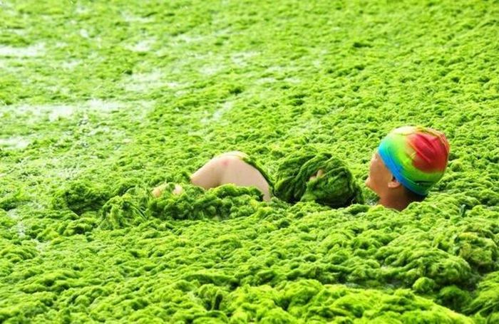 Chinese Beach Turns Green (8 pics)