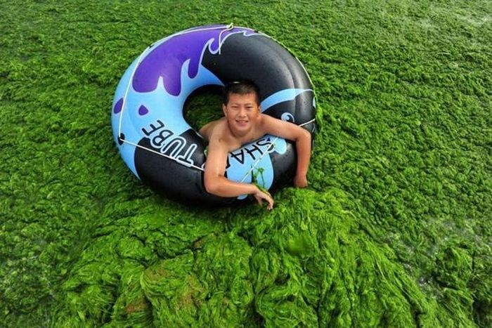 Chinese Beach Turns Green (8 pics)