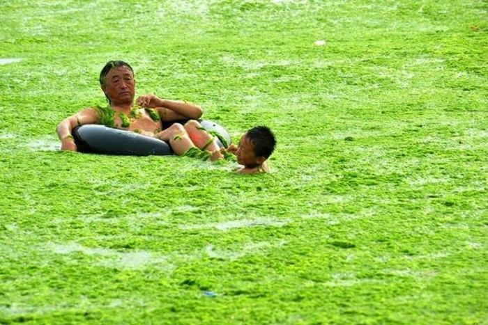 Chinese Beach Turns Green (8 pics)