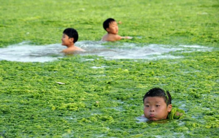 Chinese Beach Turns Green (8 pics)