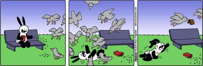 Buni the Rabbit (60 pics)