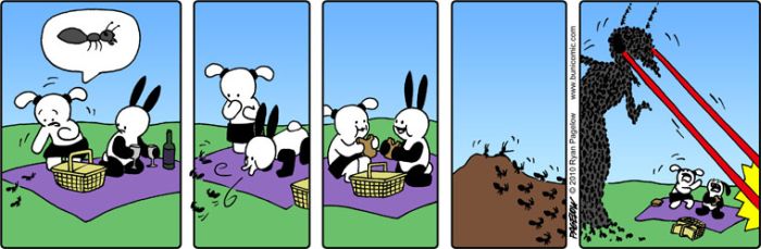 Buni the Rabbit (60 pics)