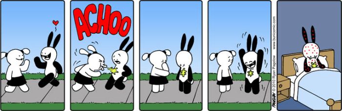 Buni the Rabbit (60 pics)