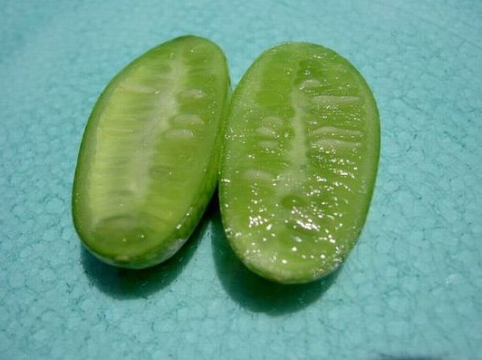 Tiny Watermelon (6 pics)