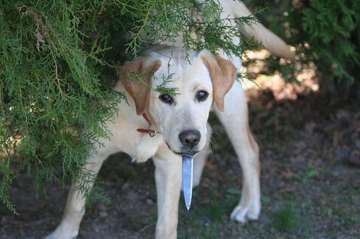 Acid Picdump (90 pics) Acid Picdump (90 pics)