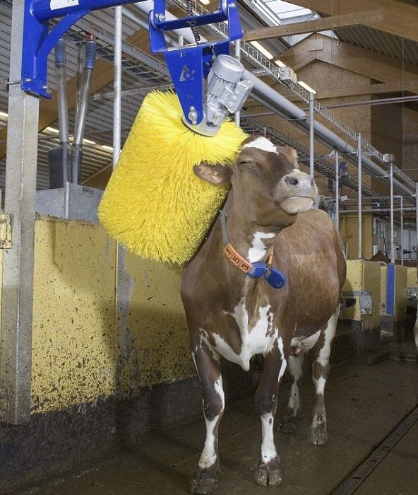 Acid Picdump (90 pics)