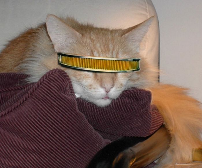 Acid Picdump (90 pics) Acid Picdump (90 pics)