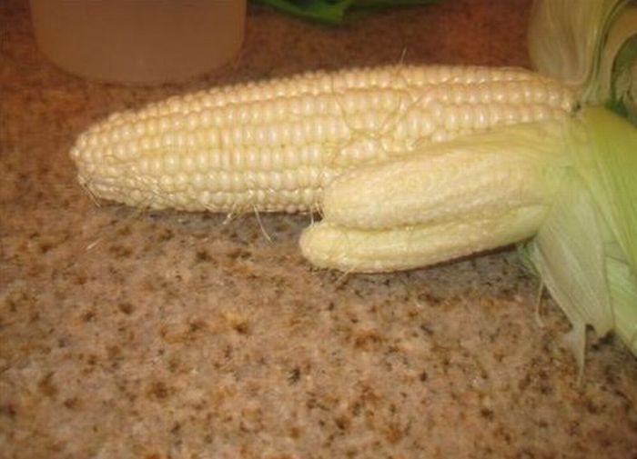 Acid Picdump (90 pics)