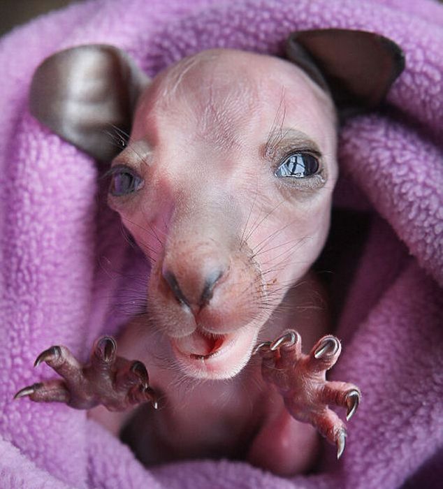 Acid Picdump (90 pics) Acid Picdump (90 pics)