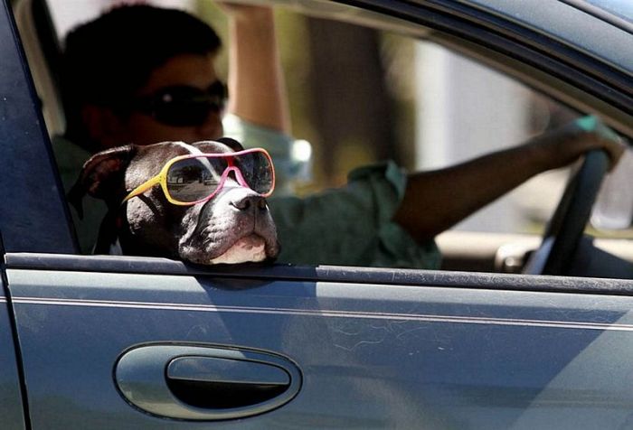 Acid Picdump (90 pics) Acid Picdump (90 pics)