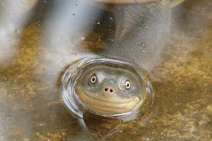 Acid Picdump (90 pics) Acid Picdump (90 pics)