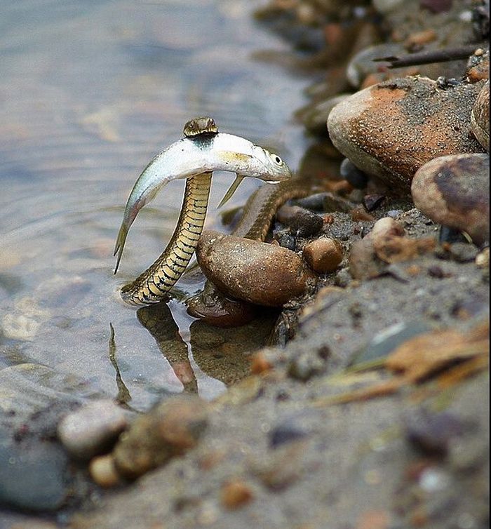 Acid Picdump (90 pics) Acid Picdump (90 pics)