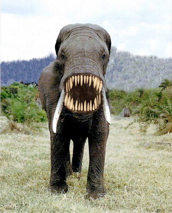 Acid Picdump (90 pics)