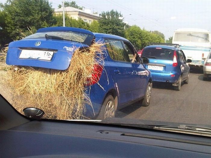 Acid Picdump (90 pics)