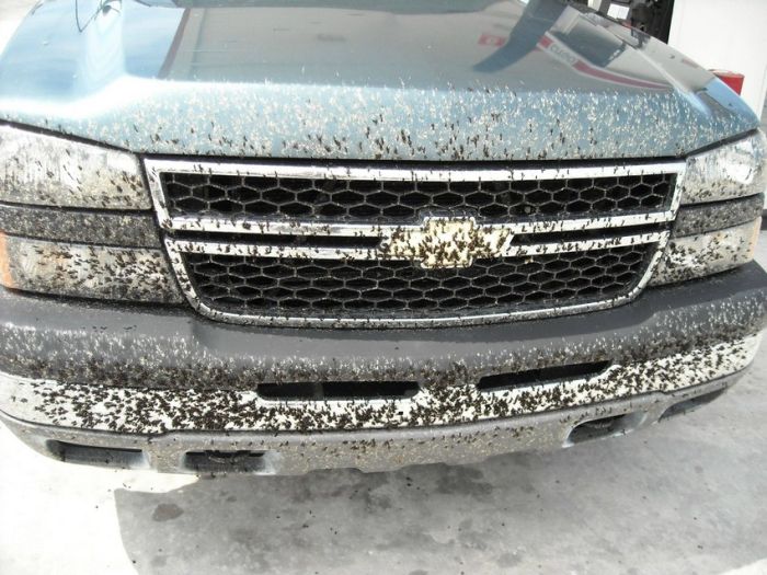 Acid Picdump (90 pics)