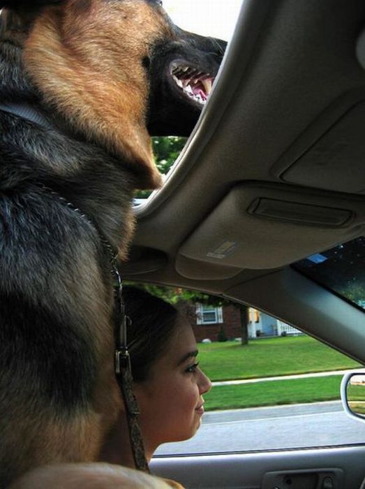 Acid Picdump (90 pics)