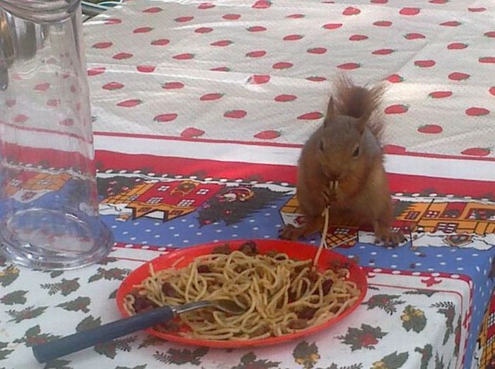 Acid Picdump (90 pics) Acid Picdump (90 pics)