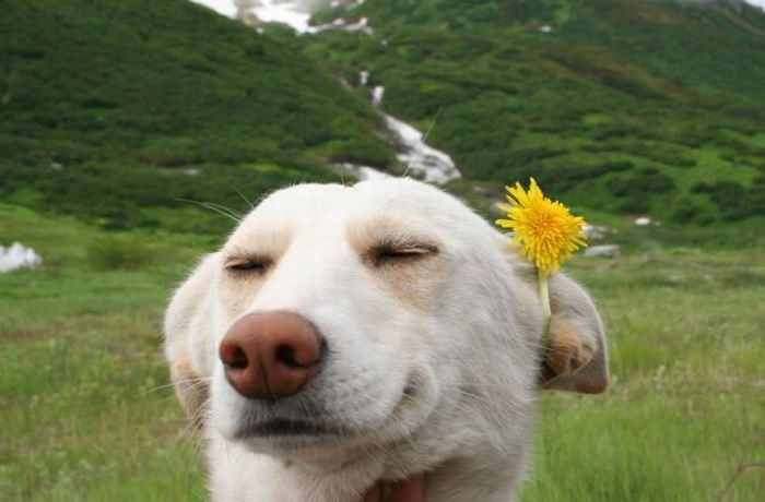 Acid Picdump (90 pics)