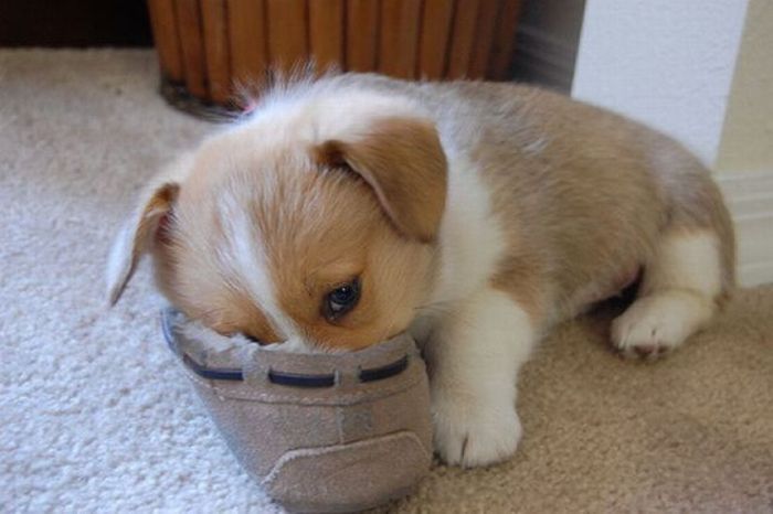 Acid Picdump (90 pics) Acid Picdump (90 pics)