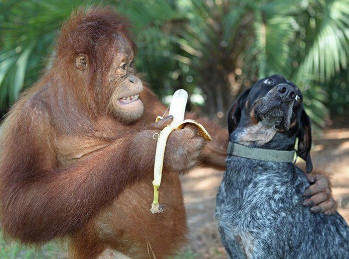 Acid Picdump (90 pics)