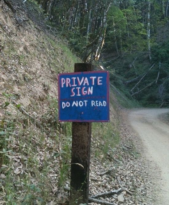 Acid Picdump (90 pics)