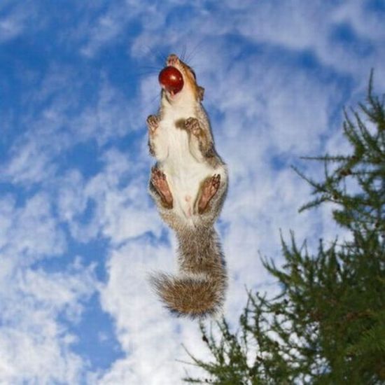 Acid Picdump (90 pics) Acid Picdump (90 pics)