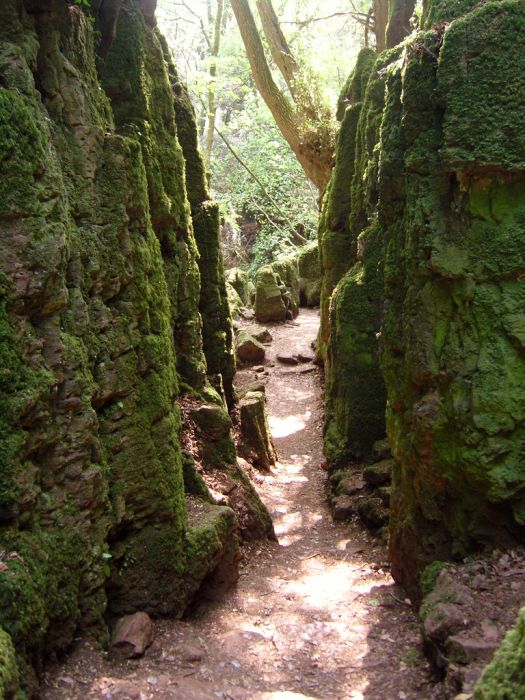 Puzzlewood – Tolkien’s Inspiration for Middle-earth (21 pics)