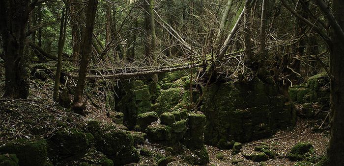 Puzzlewood – Tolkien’s Inspiration for Middle-earth (21 pics)