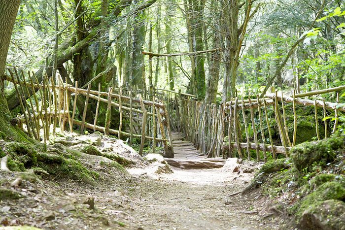 Puzzlewood – Tolkien’s Inspiration for Middle-earth (21 pics)