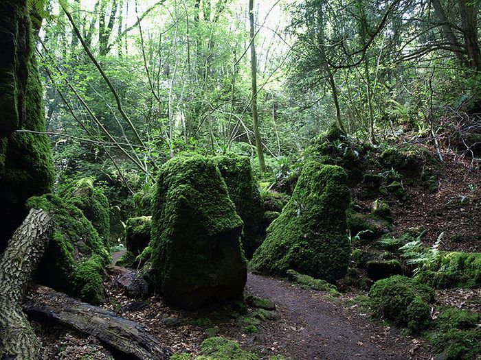 Puzzlewood – Tolkien’s Inspiration for Middle-earth (21 pics)