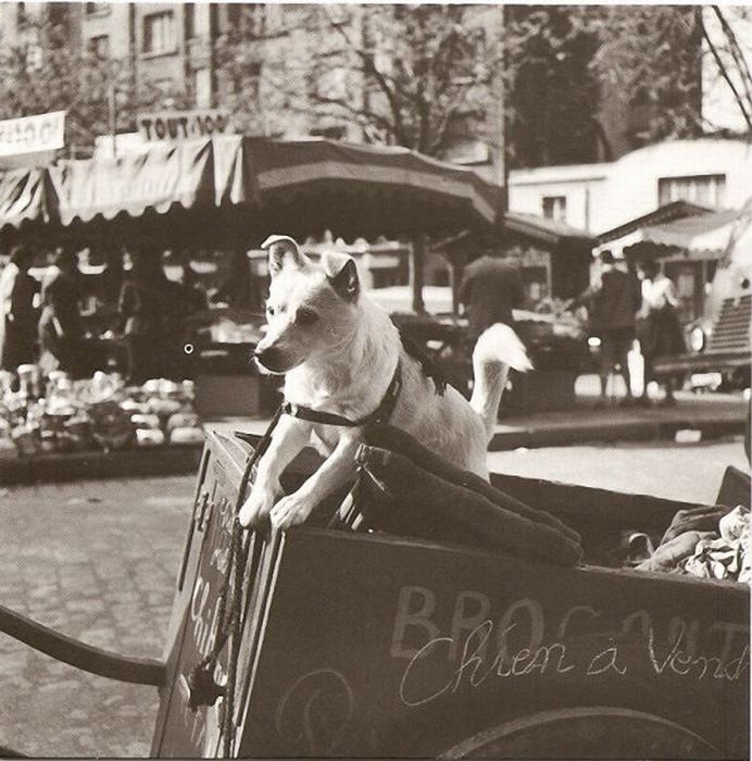 Photos of Old Paris (30 pics)