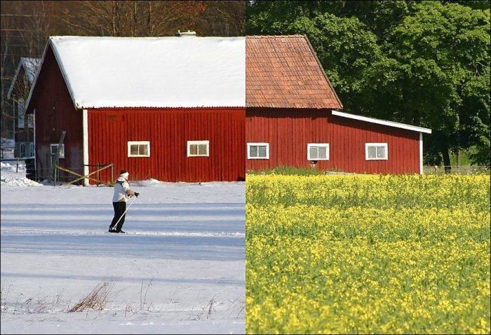 Summer vs Winter (18 pics)