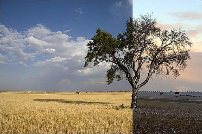 Summer vs Winter (18 pics)