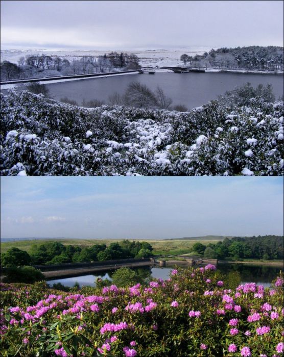 Summer vs Winter (18 pics)