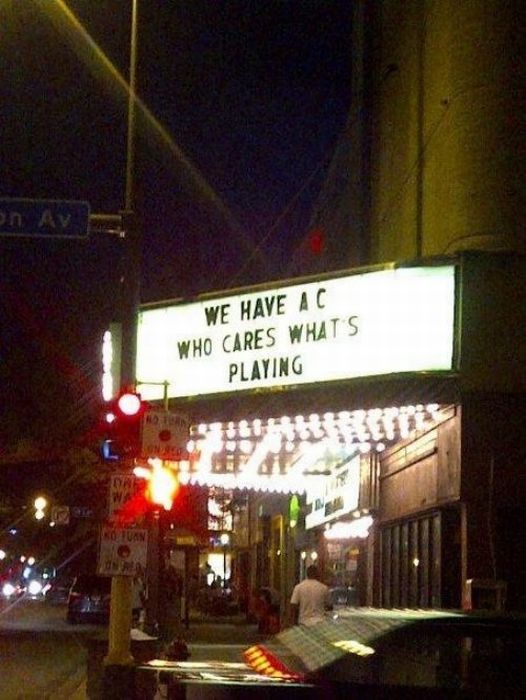 WTF Signs (40 pics)