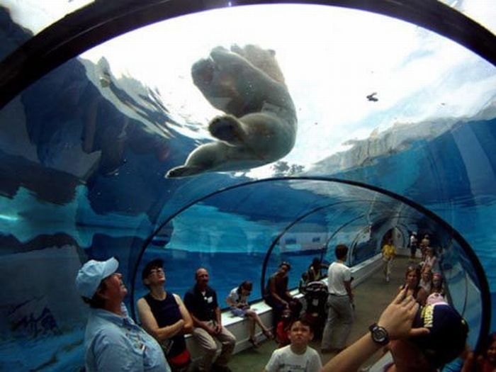 Acid Picdump (92 pics)