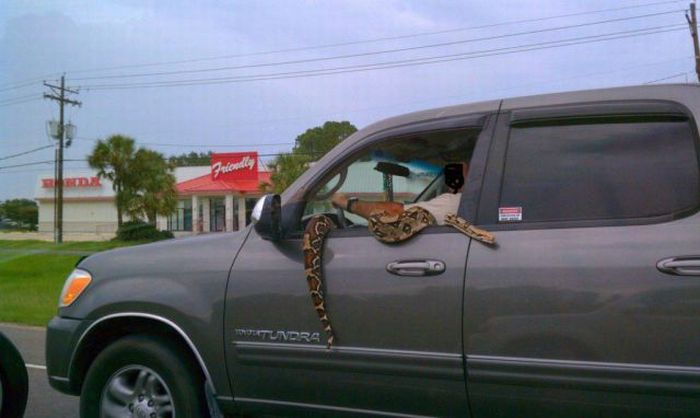 Acid Picdump (92 pics)