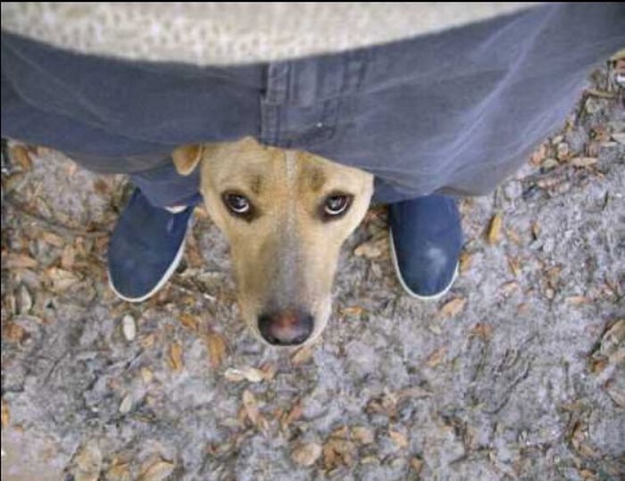 Acid Picdump (92 pics)