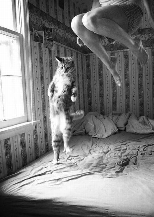 Acid Picdump (92 pics) Acid Picdump (92 pics)