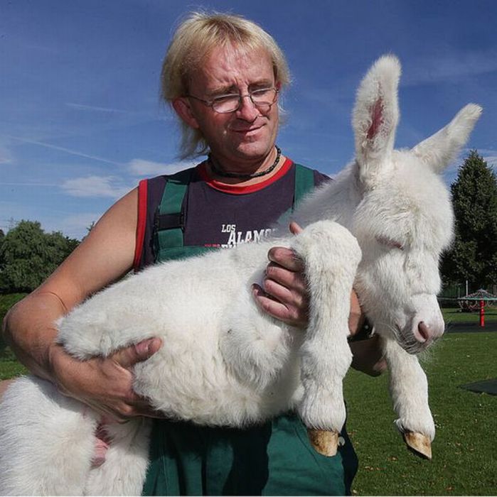 Acid Picdump (92 pics)