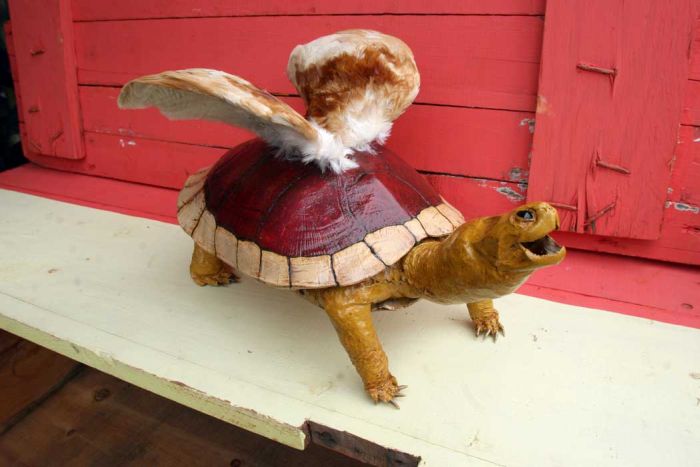 Acid Picdump (92 pics)