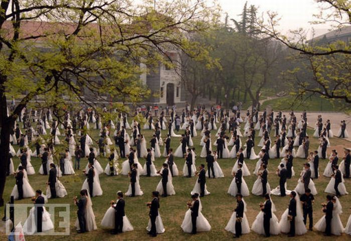 Mass Weddings  (11 pics)