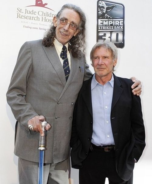 Chewbacca and Han Solo Then and Now (2 pics)