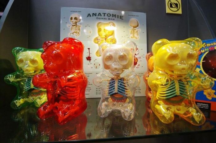 Anatomy Toys (30 pics)